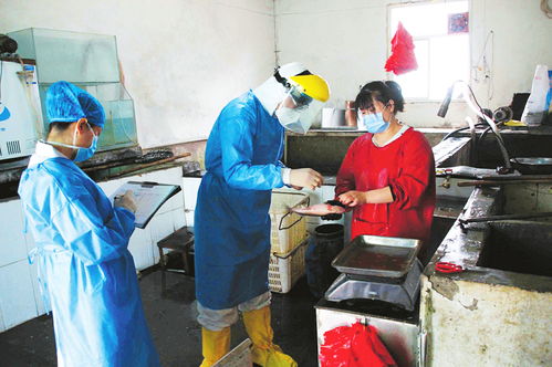 加强冷链食品监管，保障食品销售安全