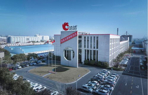 洽洽产品质量 国潮文化与国际认可的典范