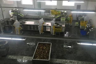 标准化建设 隆泰食品打造高品质放心早餐与酒类经营