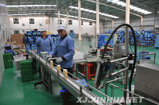 叶城立足地方资源优势 推动农产品加工业带动农民增收致富