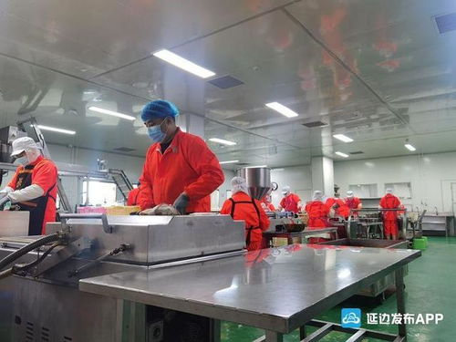 延边州多措并举扎实推进食品产业复产达效